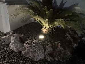 Área da propriedade