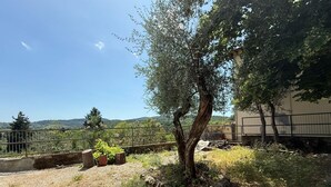 Un arbre dans un jardin, avec vue sur des collines.