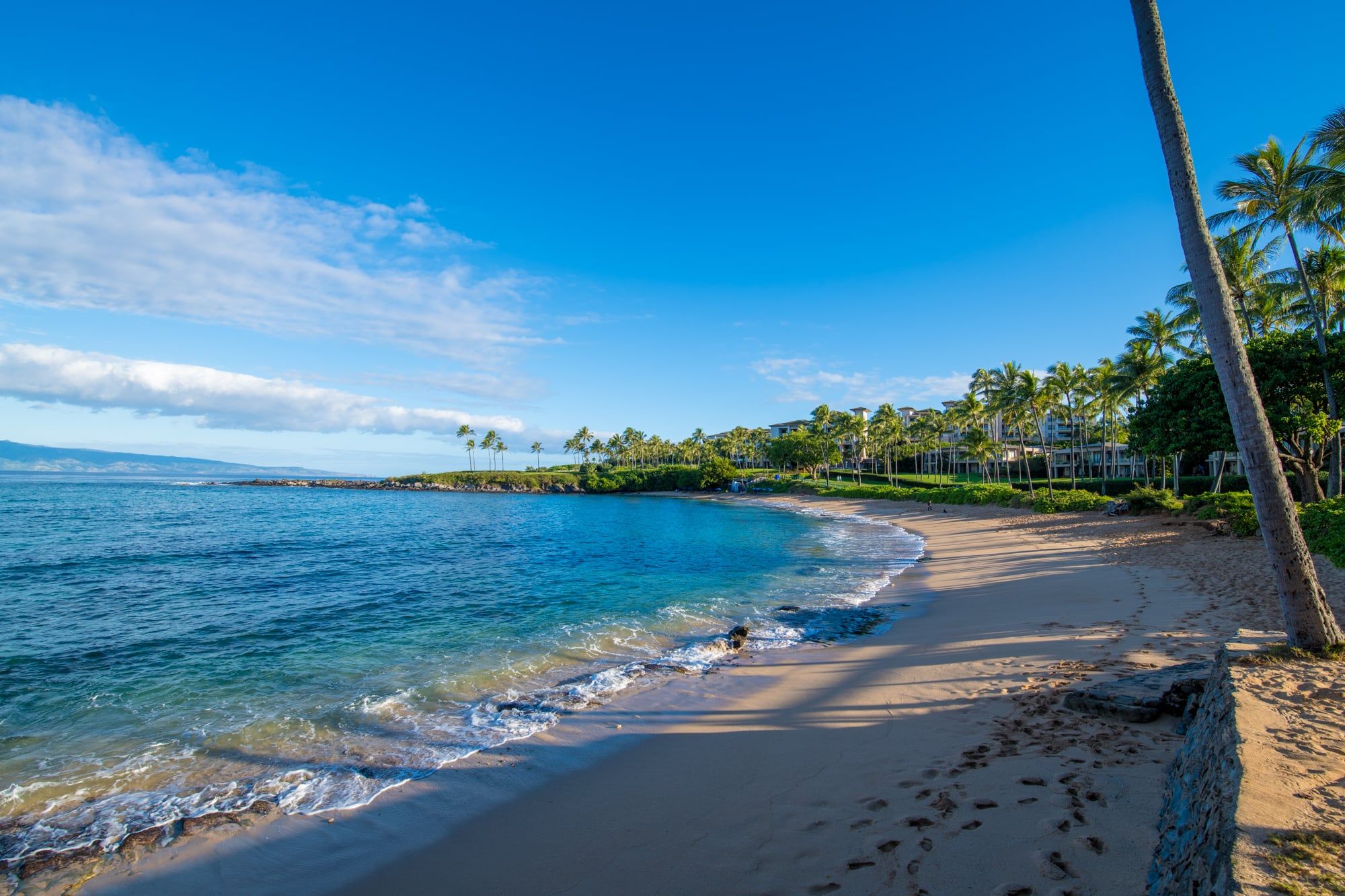 A beach with clear blue water, sandy shore, and palm trees.