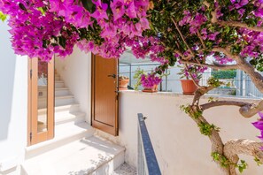 Property grounds - Apartment 'Bouganvillea' with Sea View, Shared Terrace and Air Conditioning (Nardò)