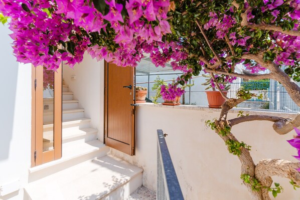 A white staircase leading to a wooden door, a balcony with potted plants, and a tree with purple flowers.
