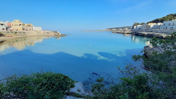 Une ville côtière avec des bâtiments qui bordent la plage, une eau calme et de la végétation au premier plan.
