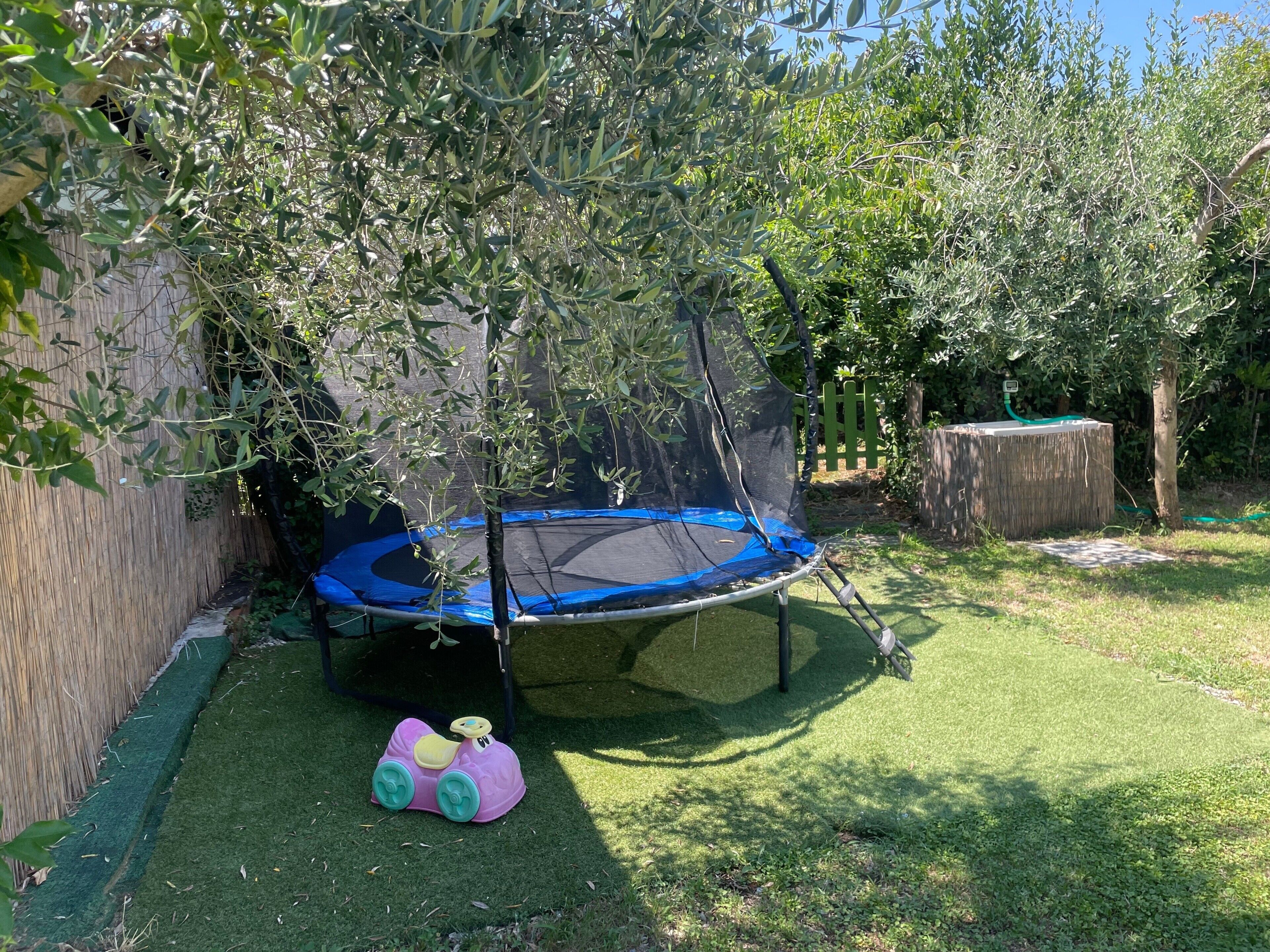 Een achtertuin met een trampoline, een houten schutting en een boom.