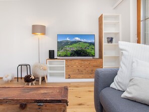 Televisio