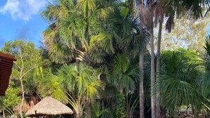 A rustic outdoor area with a thatched-roof structure, wooden benches, and a sandy ground near a water body.