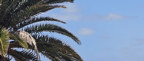 海灘