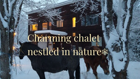 A wooden chalet nestled in a snowy forest with two horses. - Quiet Forest Retreat with Views of Mount Yotei – 3 bedrooms, 10 minutes from Niseko (ニセコ町)