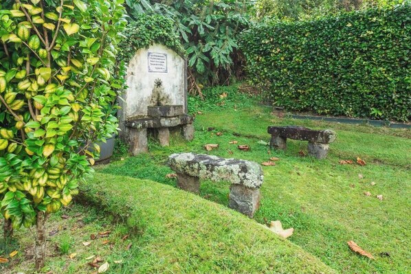 Terrein van de accommodatie