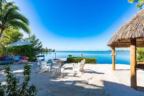 Unclassified image, 4 of 50, button