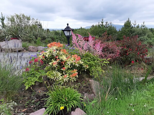 A garden with various plants and a black lamp post.