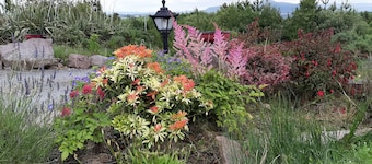 MOYNISH MOR MULRANNY, family friendly in Mulranny, County Mayo