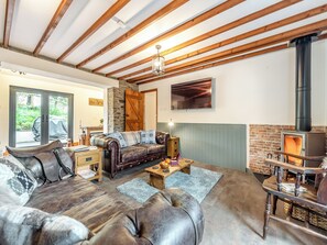 TV - 3 bedroom accommodation in Cribyn, Lampeter (Cribyn, Lampeter)