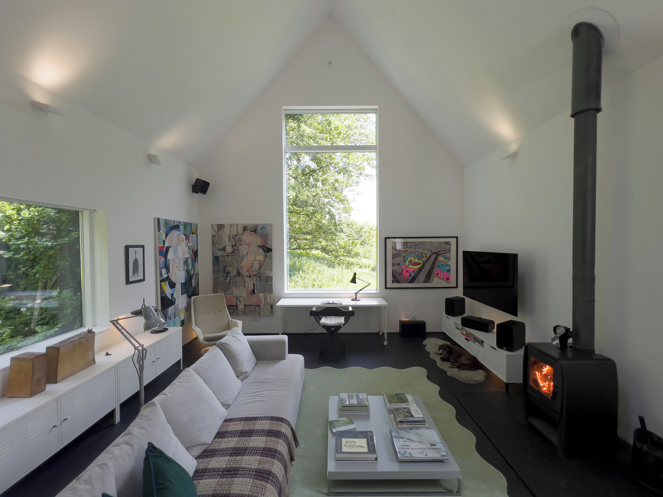 TV, fireplace