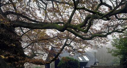 2 bedroom accommodation in Leominster