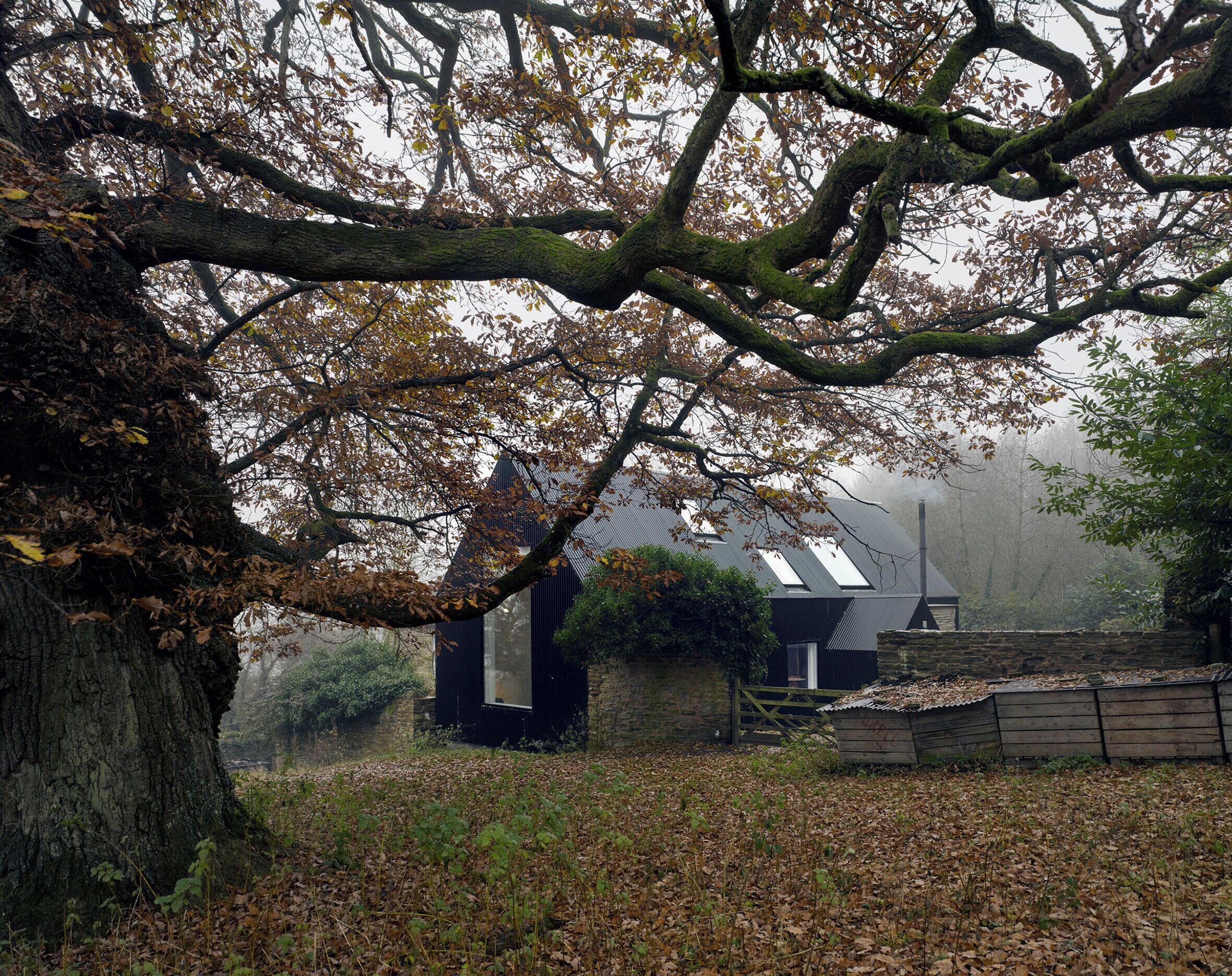 A rustic building with a sloped roof, surrounded by trees and a leaf-covered ground.
