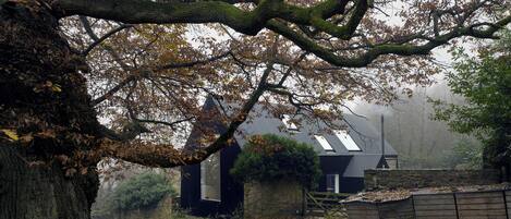 A rustic building with a sloped roof, surrounded by trees and a leaf-covered ground.