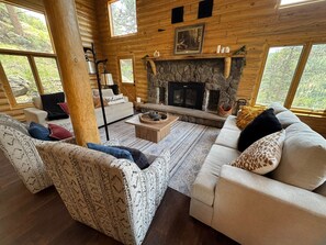 TV, fireplace, video games, books
