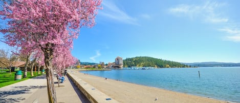 靠近海滩