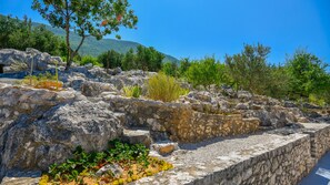Terrain de l’hébergement 