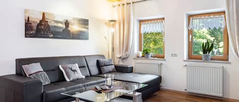 テレビ、ステレオ