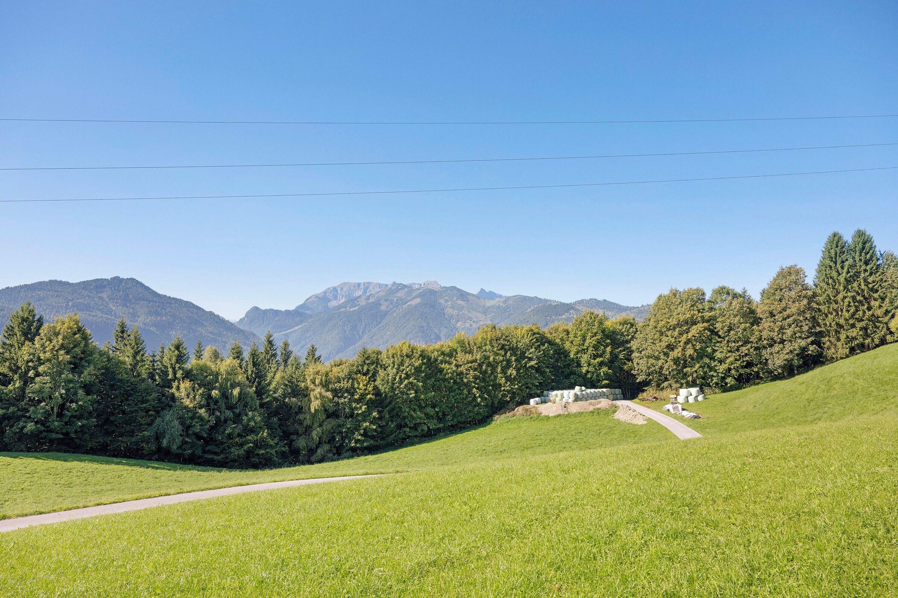 Un paysage rural avec une route, des arbres et des montagnes en arrière-plan.