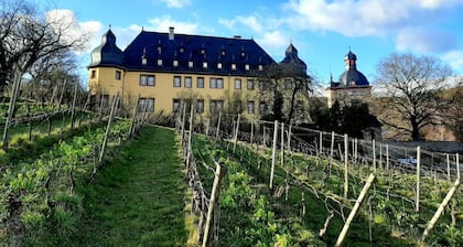 Ferienwohnung 'Rheingauer Rosengasse' mit Balkon und Wi-Fi