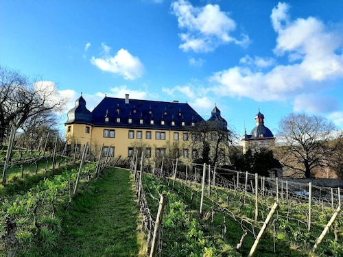 Apartment 'Rheingauer Rosengasse' with Balcony and Wi-Fi