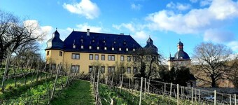 Apartment 'Rheingauer Rosengasse' with Balcony and Wi-Fi