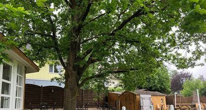 Ferienwohnung '' mit privater Terrasse, Gemeinschaftsgarten und Wi-Fi