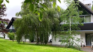 A residential building with a sloped roof, a well-maintained lawn, and a large tree in the foreground. - Apartment '' with Private Terrace, Shared Garden and Wi-Fi (Warstein)