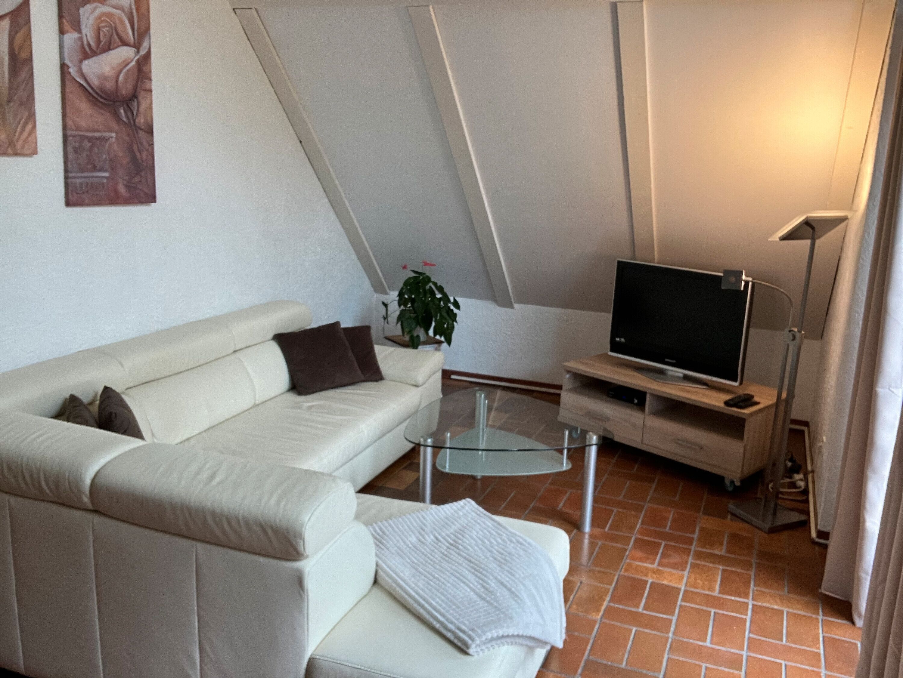 Fernseher, Tischtennisplatte