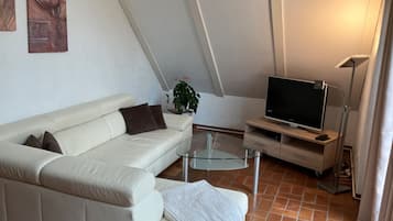 TV, table tennis