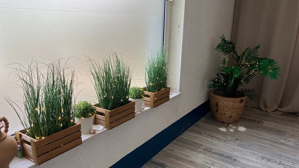 Een kamer met een houten vloer, een witte muur en een raam. Er staan potplanten op een plank en een grote potplant op de vloer.
