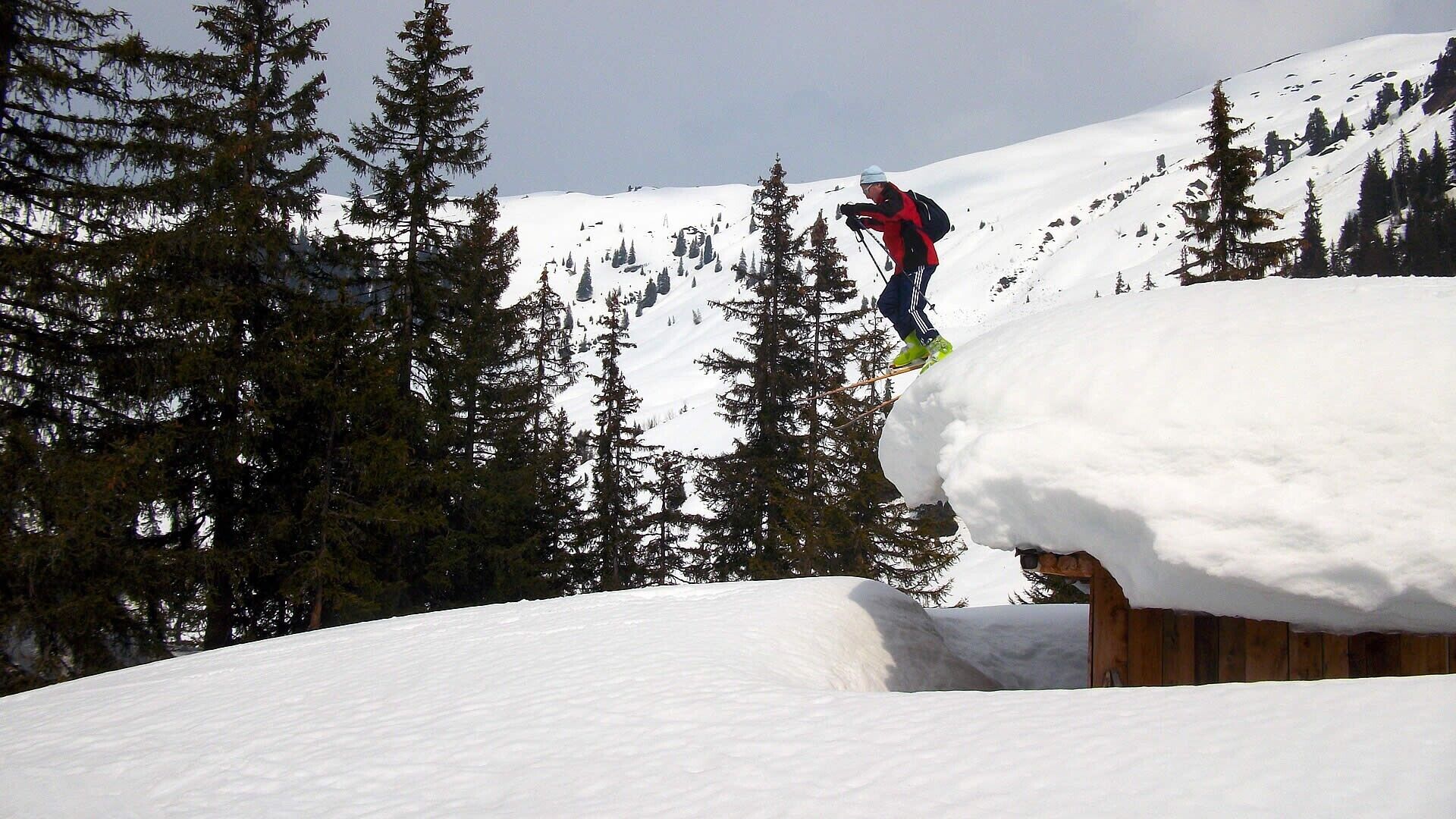 A person skiing on a snowy slope with trees in the background.