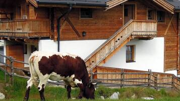 Ein Holzhaus mit Balkon und einer vor der Tür weidenden Kuh.