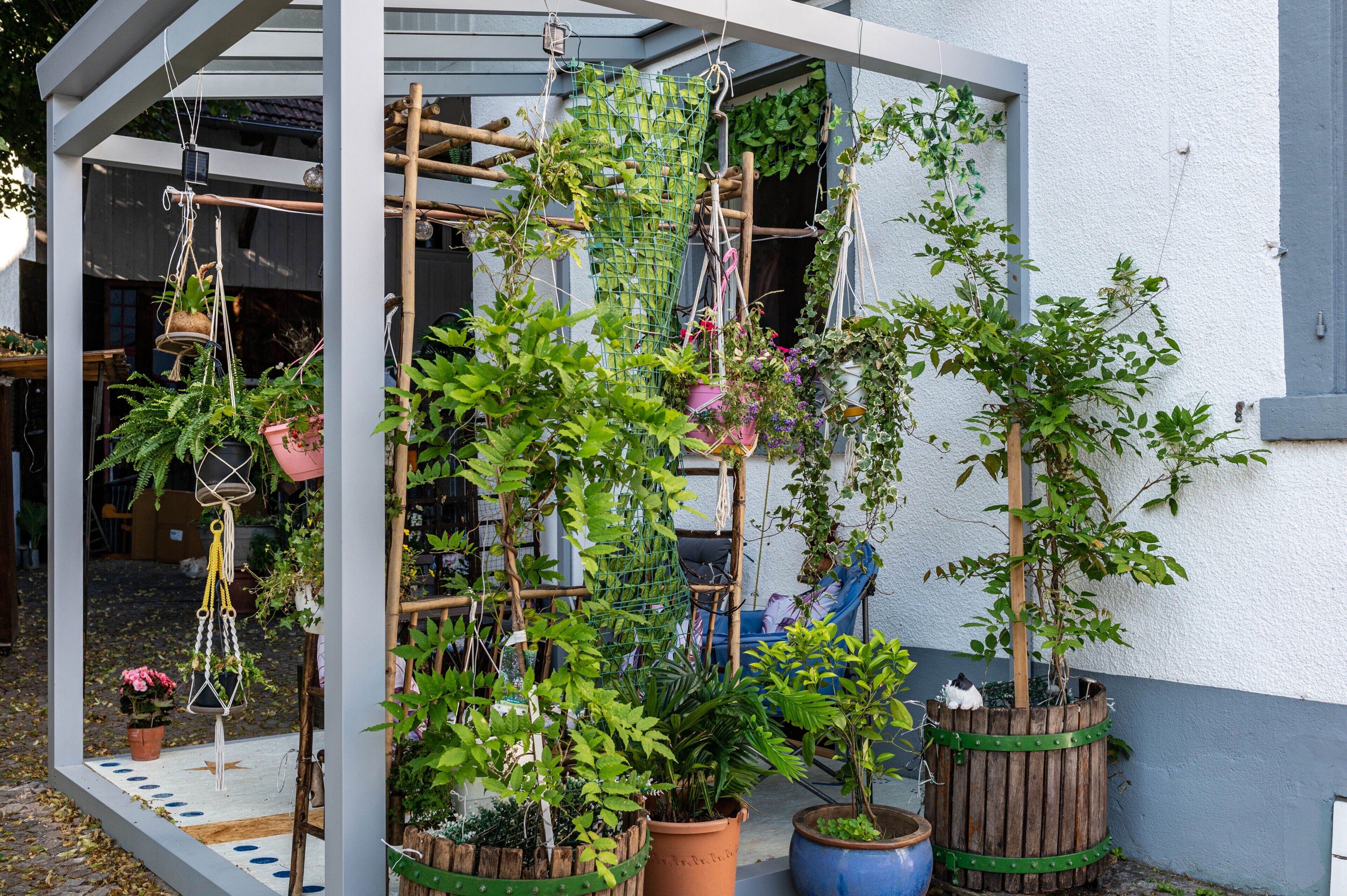 Ein Garten mit verschiedenen Kübelpflanzen, einem hölzernen Spalier und einer hängenden Pflanzampel.