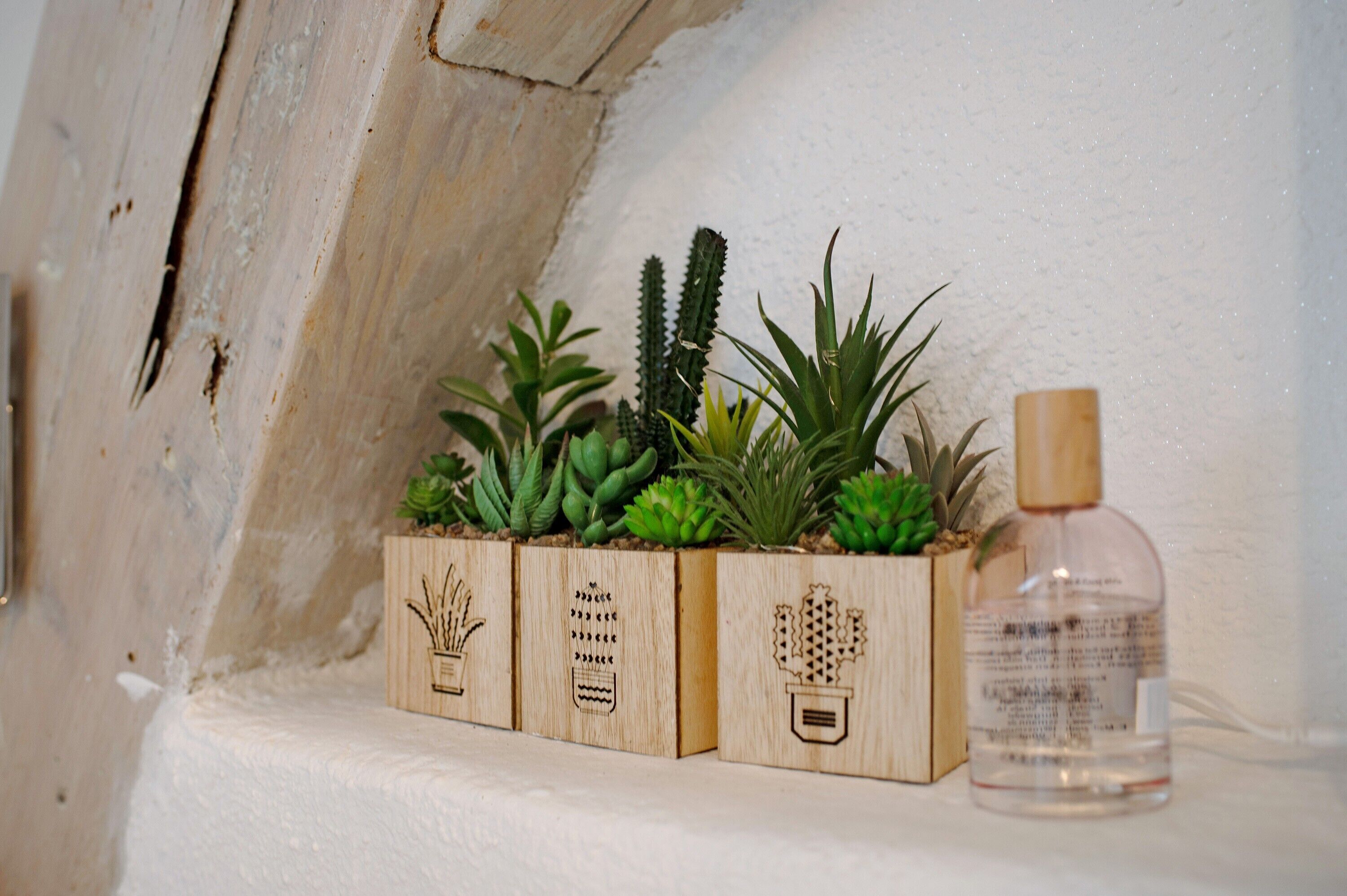 Una estantería de madera con suculentas en macetas y una botella de líquido.