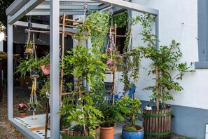 Property grounds - Apartment 'Near Switzerland 2' with Wi-Fi (Kandern)