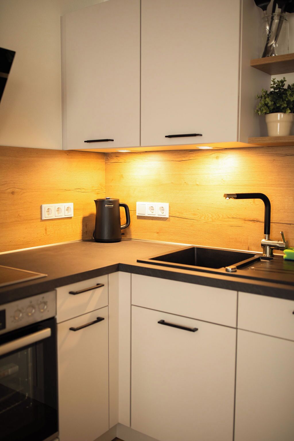 Kühlschrank, Ofen, Herdplatte, Geschirrspüler