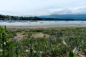 Unclassified image, 5 of 107, button