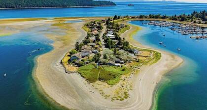 Executive Beach House - Oceanfront and Waves