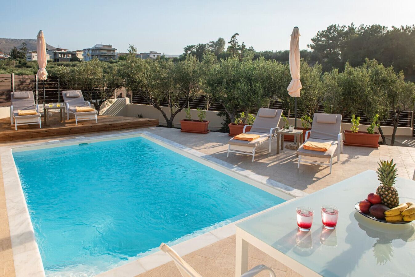 Une piscine rectangulaire entourée de plantes en pot et d’arbres, avec des chaises longues et des parasols.