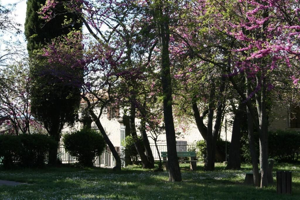 A park with trees, a bench, and a building in the background.