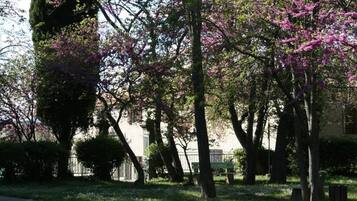 A park with trees, a bench, and a building in the background.