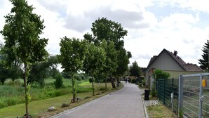 A paved pathway lined with trees and a metal fence on one side. - Ferienwohnung Kogge im Zentrum von Röbel (Röbel)