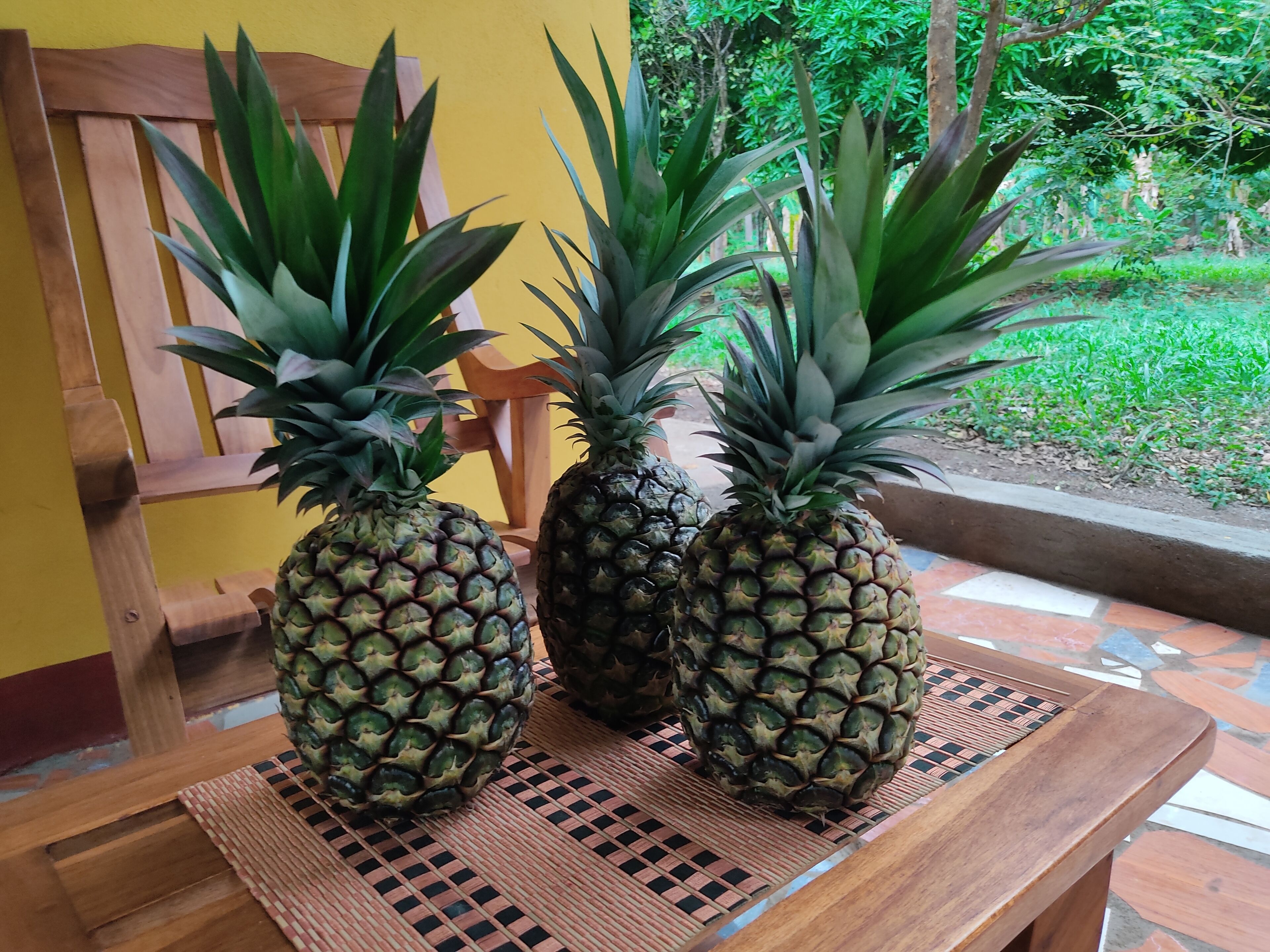 المنطقة المحيطة بالمنشأة