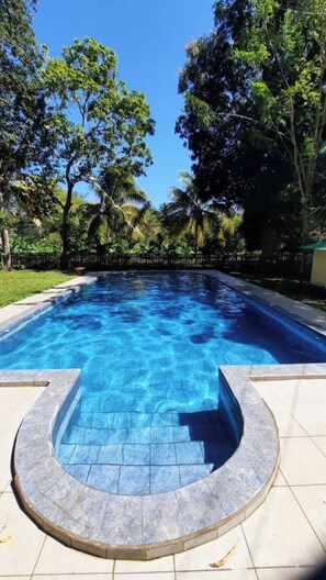 A swimming pool with a tiled edge and a stone border, surrounded by trees and a fence.