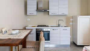 Une cuisine de taille réduite équipée d’une cuisinière à gaz, d’un four, d’un évier et d’un réfrigérateur.