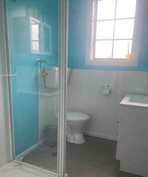 A bathroom with a toilet, a sink, and a shower enclosure. - Big space in a great location (Oamaru)