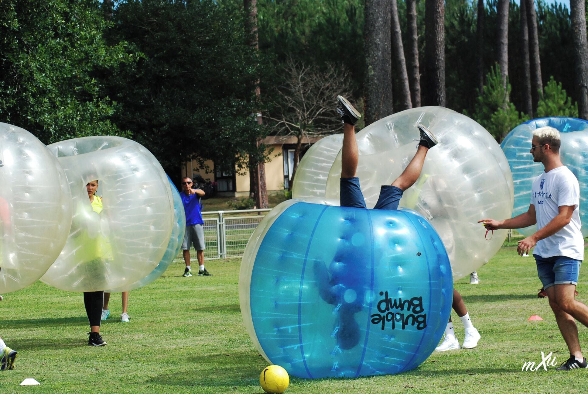 People inside large transparent inflatable balls on a grassy field.